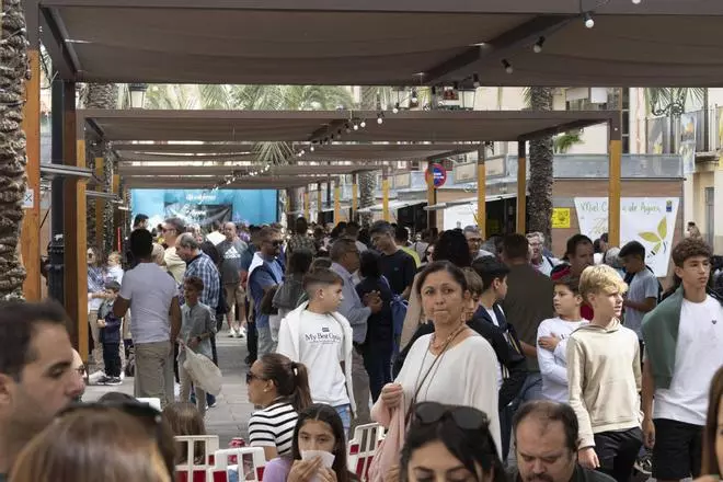 Llenazo en la XXIII edición de "El Primer Corte de la Miel" en Ayora