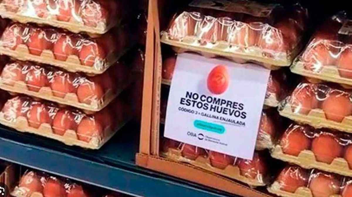 El significado del Código 3 en los huevos.