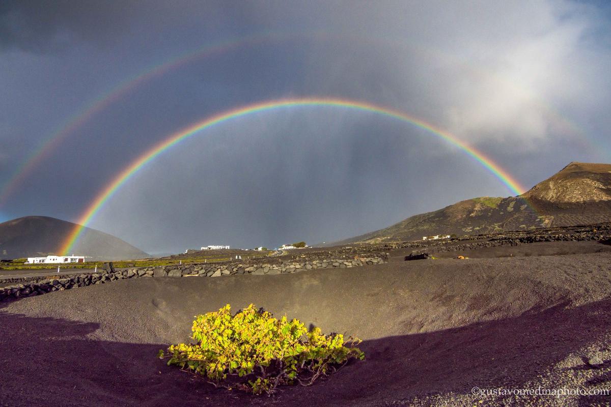 Arcoíris en La Geria tras las lluvias de esta semana en Lanzarote.
