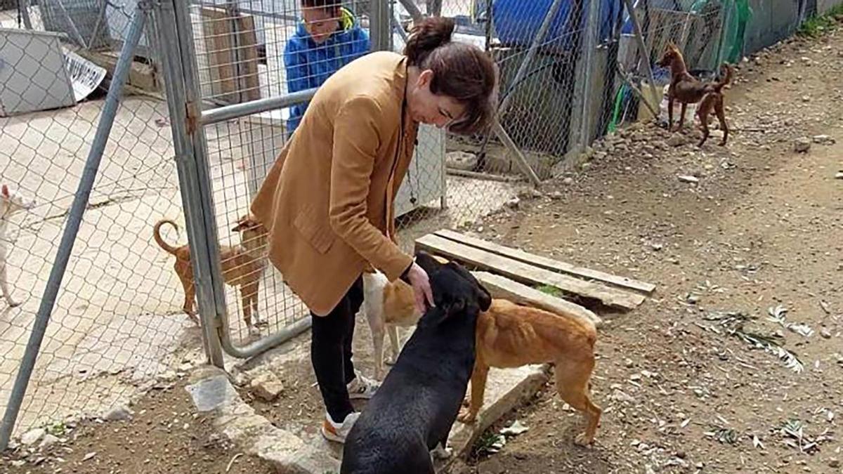 María Luisa ceballos acaricia a dos de los perros del refugio.