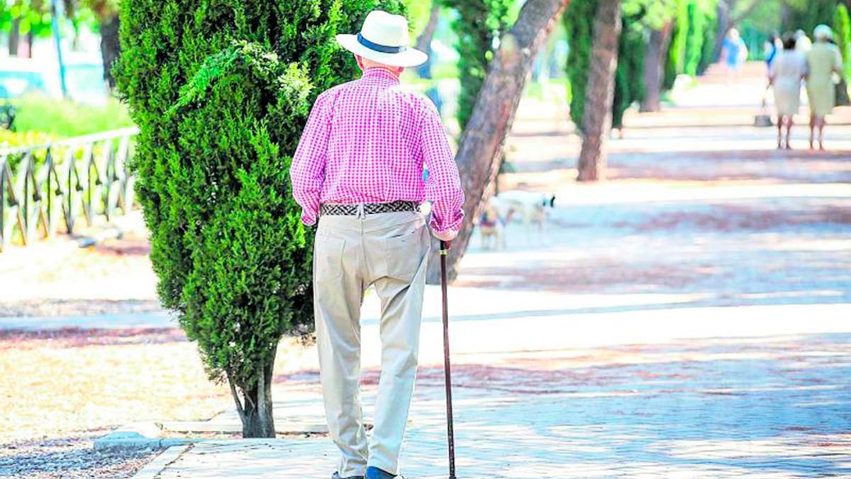 Un jubilado paseando por un parque.