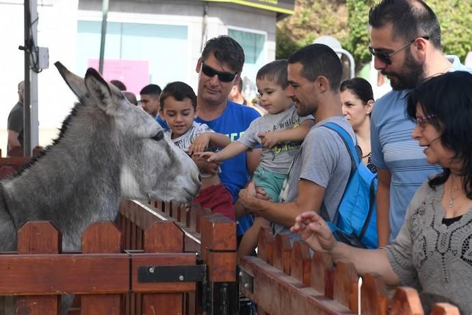 FERIA DEL SURESTE