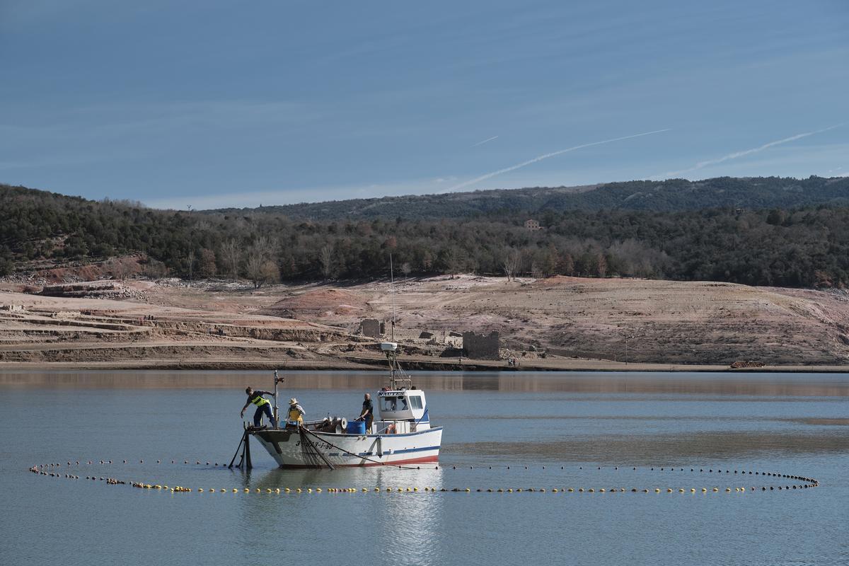 Empieza la retirada de peces del pantano de Sau