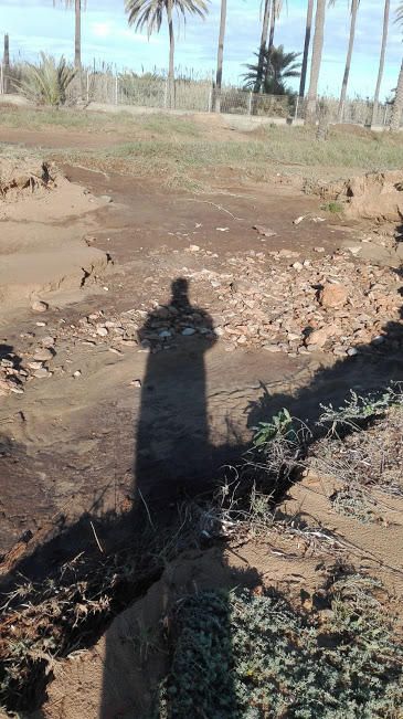 Salvemos Lo Ferrís asegura que le muro en la propiedad privada multiplicó los efectos de las precipitaciones al acumular el agua