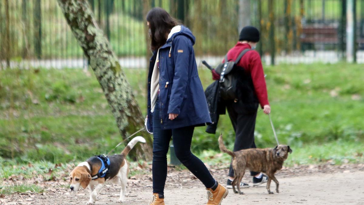 Dos personas pasean a sus perros en Castrelos.