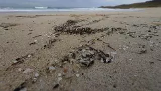 La Fiscalía de Medio Ambiente investigará el vertido de pellets que ha llegado a las costas gallegas