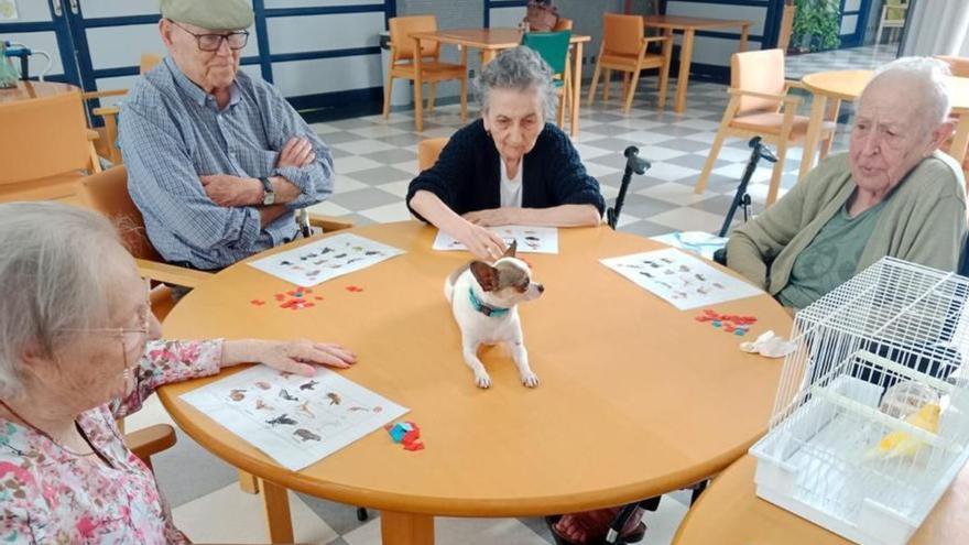 Archidona: Terapia con animales a beneficio de los mayores