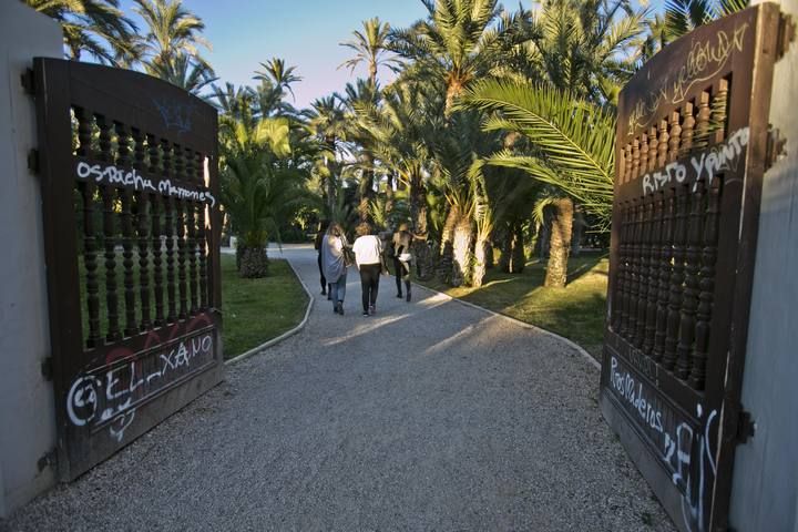 El Parque Municipal de Elche, una perla verde que hay que atender mejor