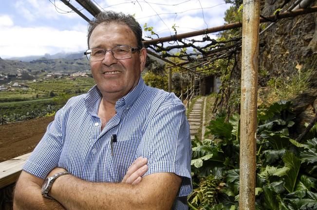 REPORTAJE BODEGA LA MONTAÑA