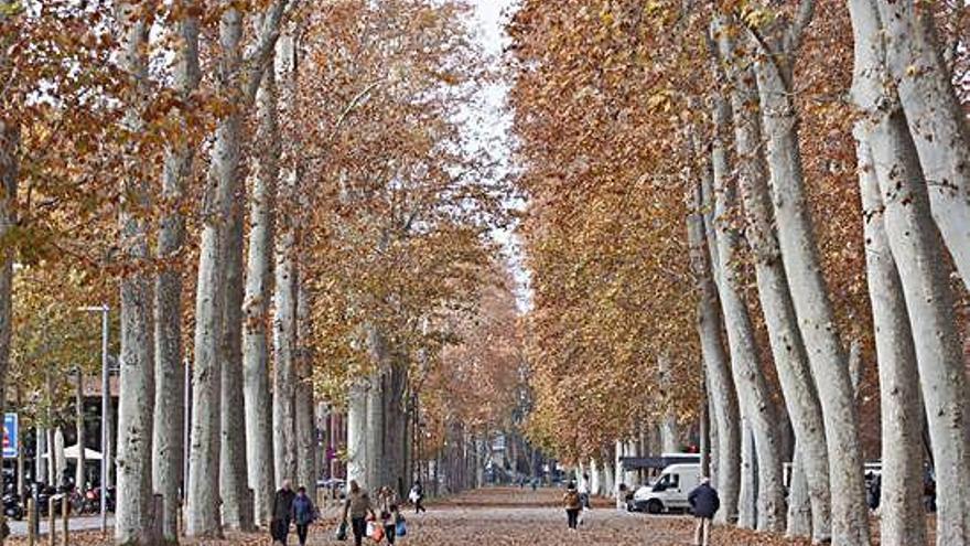 El parc de la Devesa, en una imatge d&#039;arxiu.