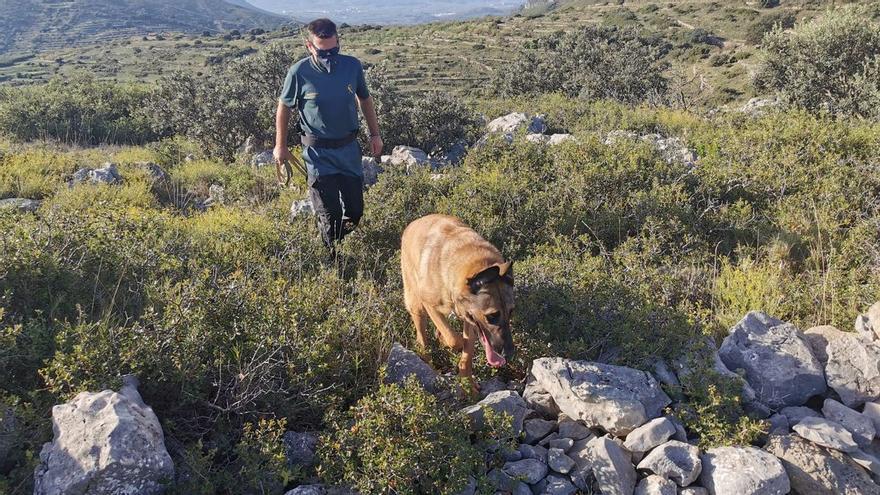 Hallan el cadáver de una persona en avanzado estado de descomposición en Catí