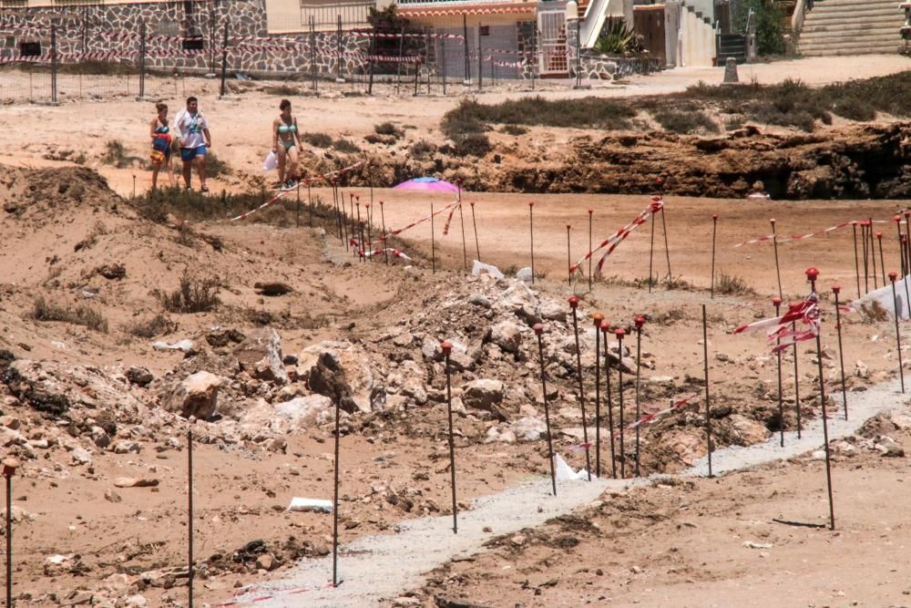 Un muro cierra el palmeral de Ferrís en Torrevieja