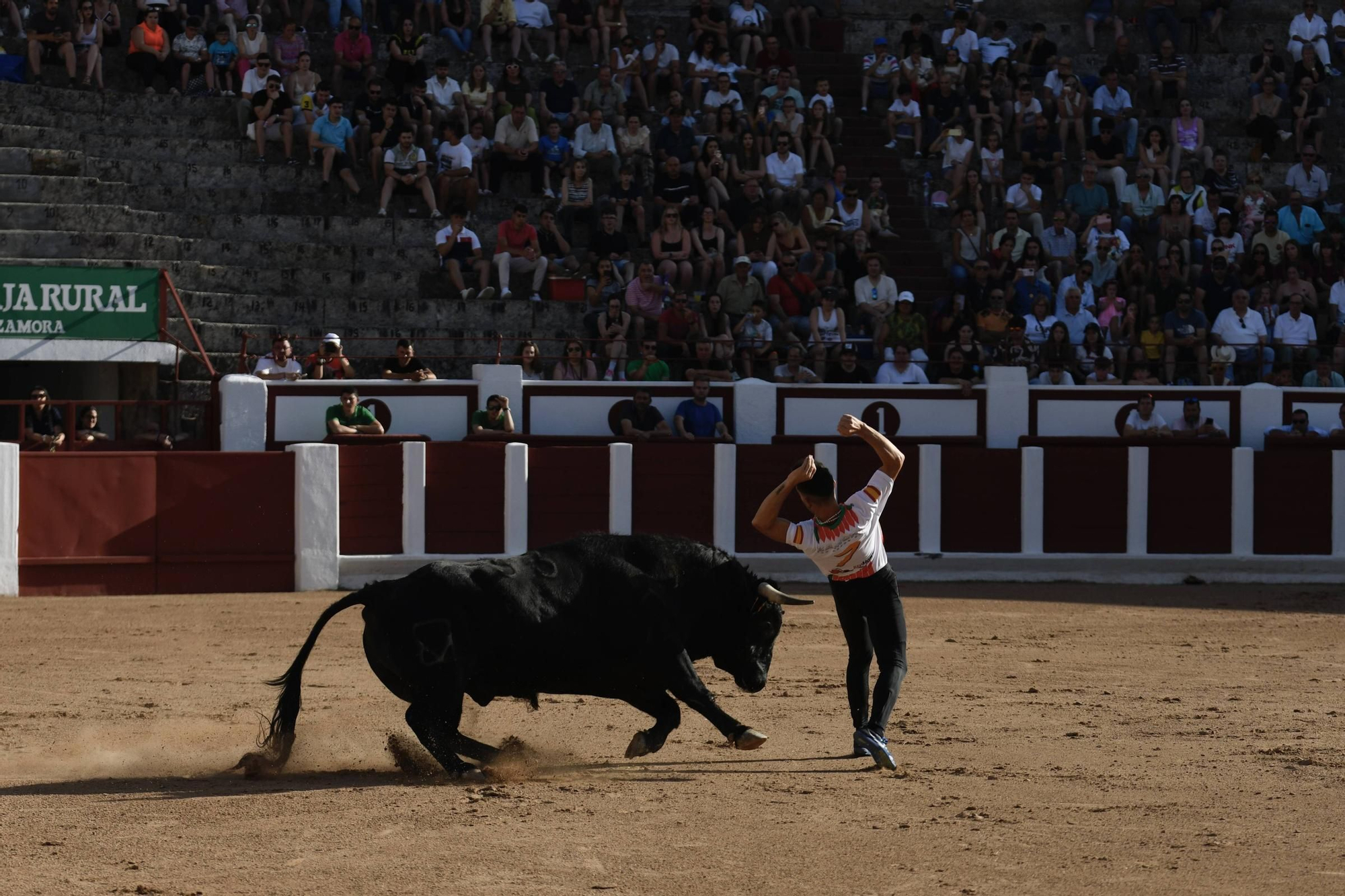 Concurso Recortadores San Pedro 2025