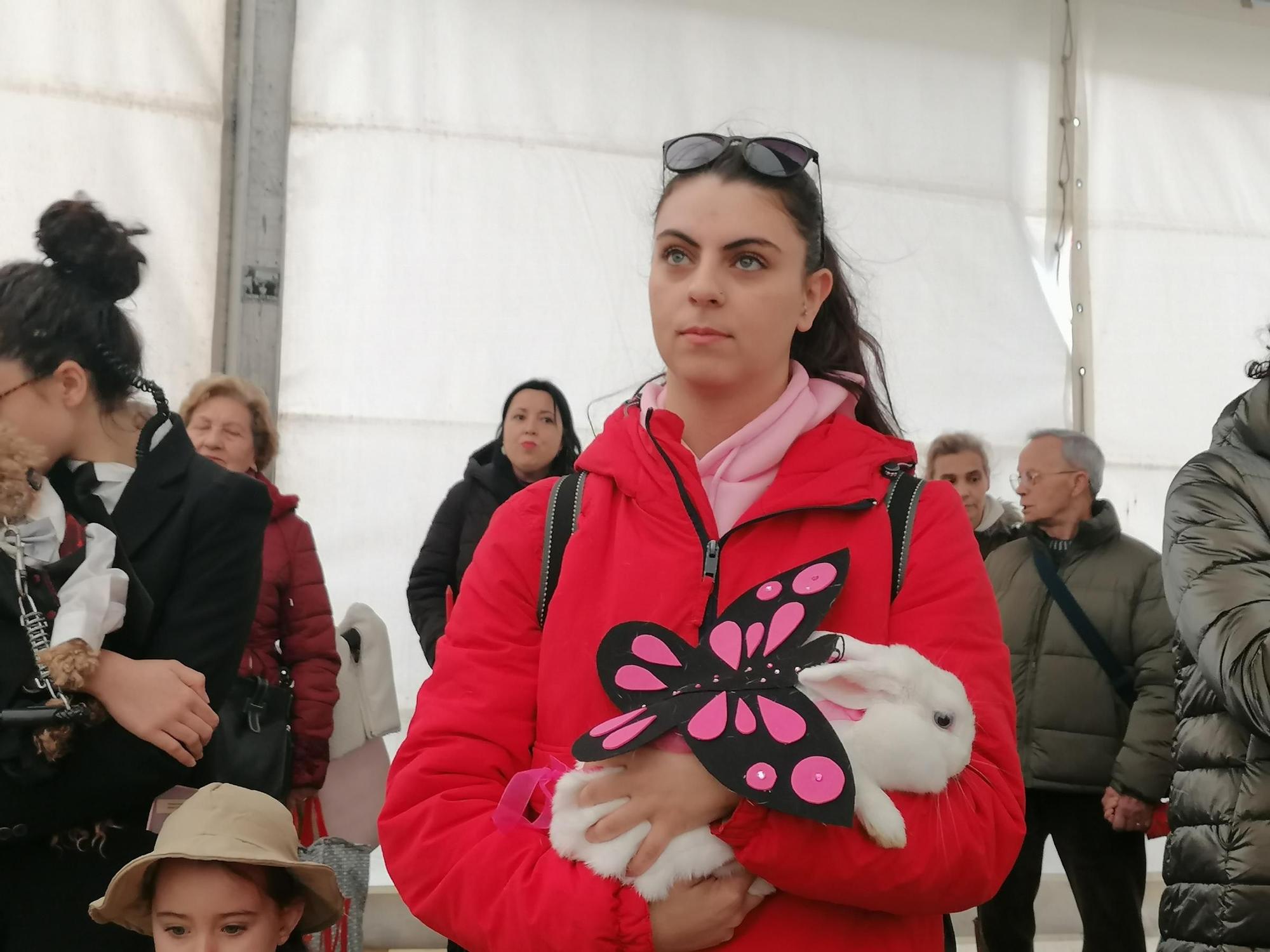 GALERÍA | Los animales se suman a la fiesta en el Carnaval de Toro