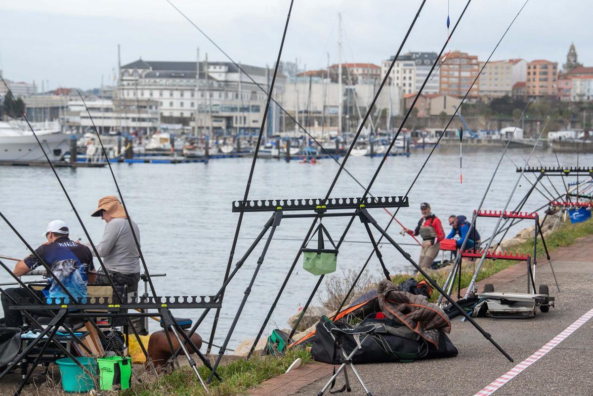 Competición de pesca en el dique de abrigo
