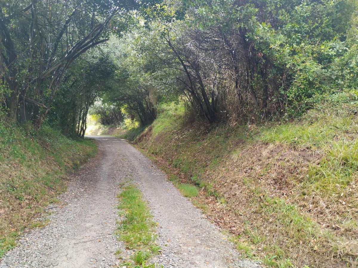 Un camino rural en Llanera