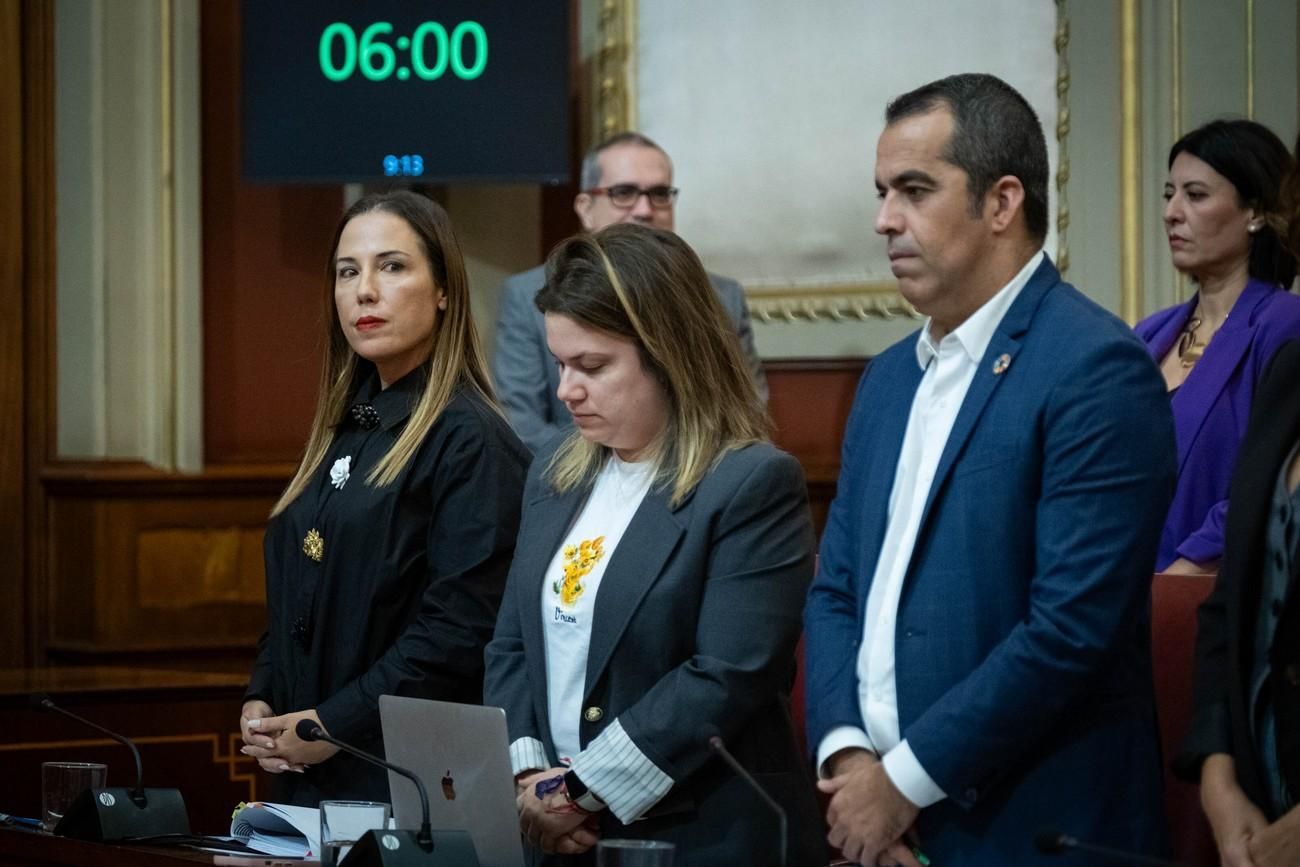 Pleno del Ayuntamiento de Santa Cruz de Tenerife del 29 de noviembre de 2024
