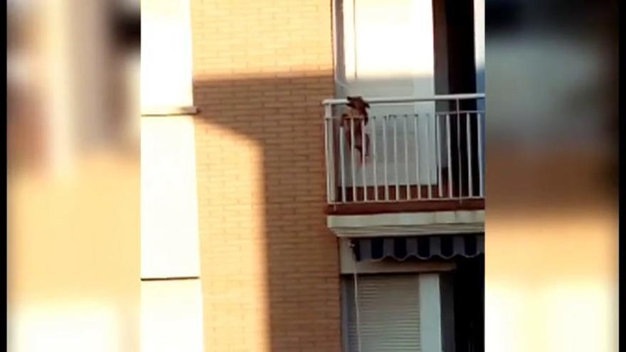 Un perro salta desde el balcón tras pasar varias horas al sol y sin agua