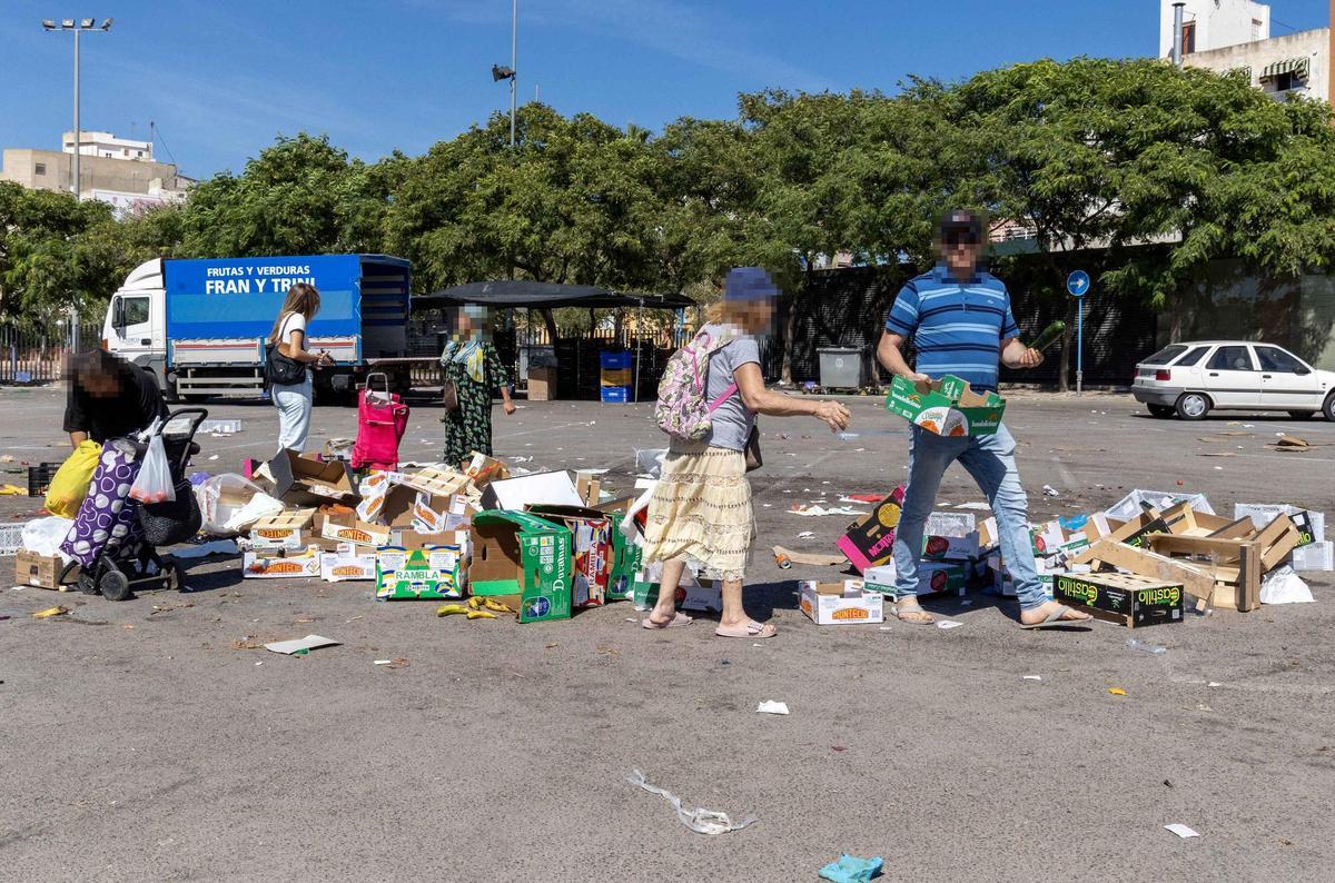 _MGL6685.jpg _MGL6685.jpg