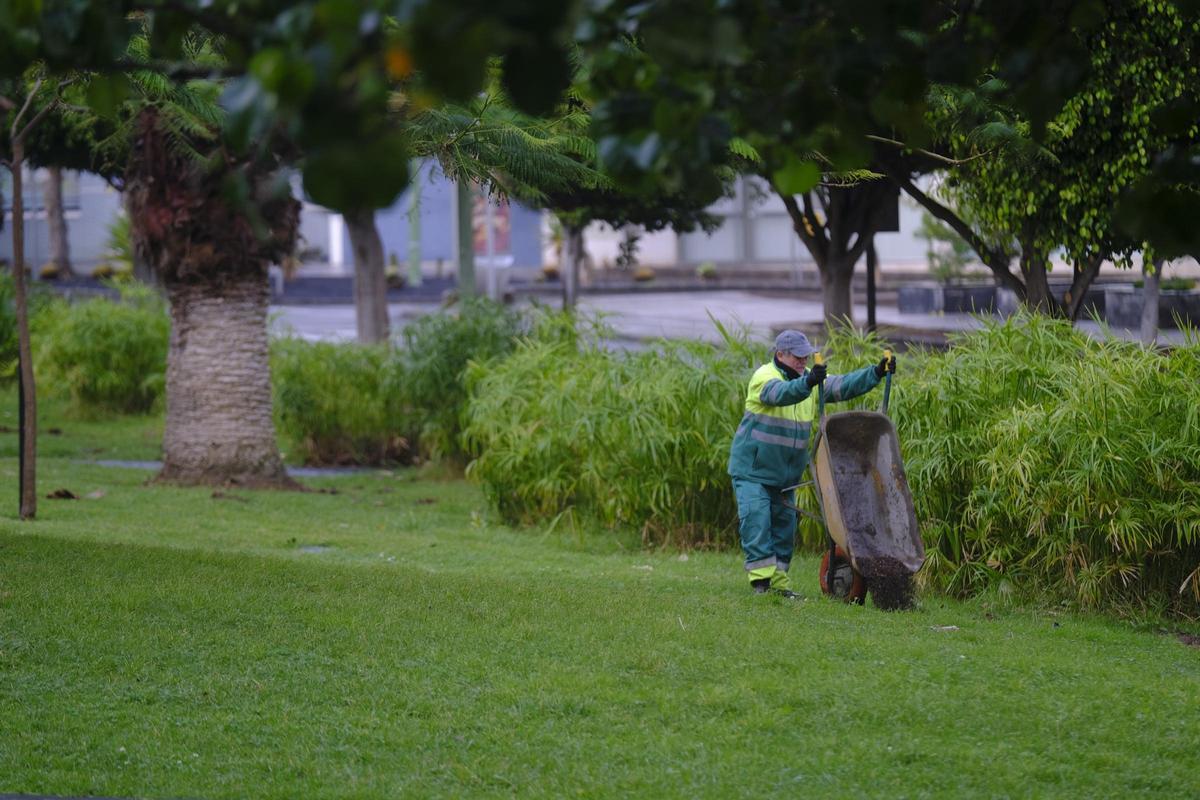 Un empleado de Parques y Jardines realiza trabajos en La Minilla