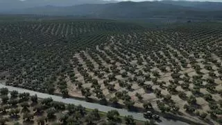 Llega a Córdoba el documental sobre la lucha de un pueblo de Jaén contra las megaplantas fotovoltaicas