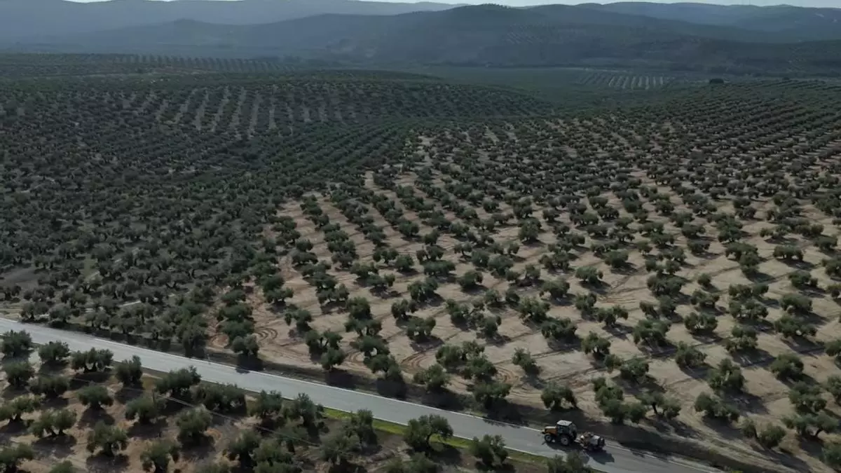Llega a Córdoba el documental sobre la lucha de un pueblo de Jaén contra las megaplantas fotovoltaicas