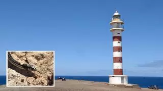 Capturan una culebra real tras 20 kilómetros de persecución: la invasión silenciosa se expande en Gran Canaria