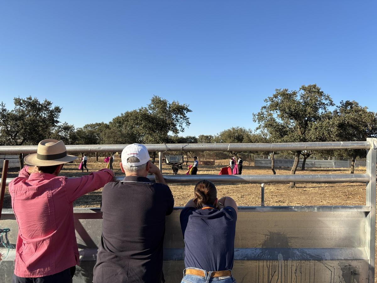 GALERÍA | Alumnos de la Escuela Taurina de Navas del Rey participan en una retienta en la ganadería Toros Villalpando