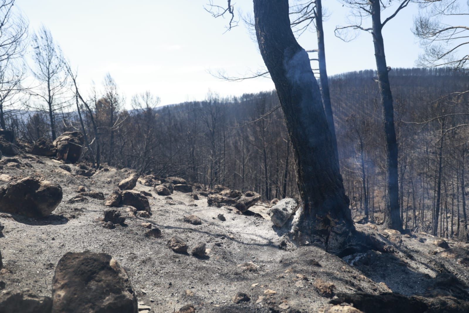 Las consecuencias del incendio de Bejís en Teresa