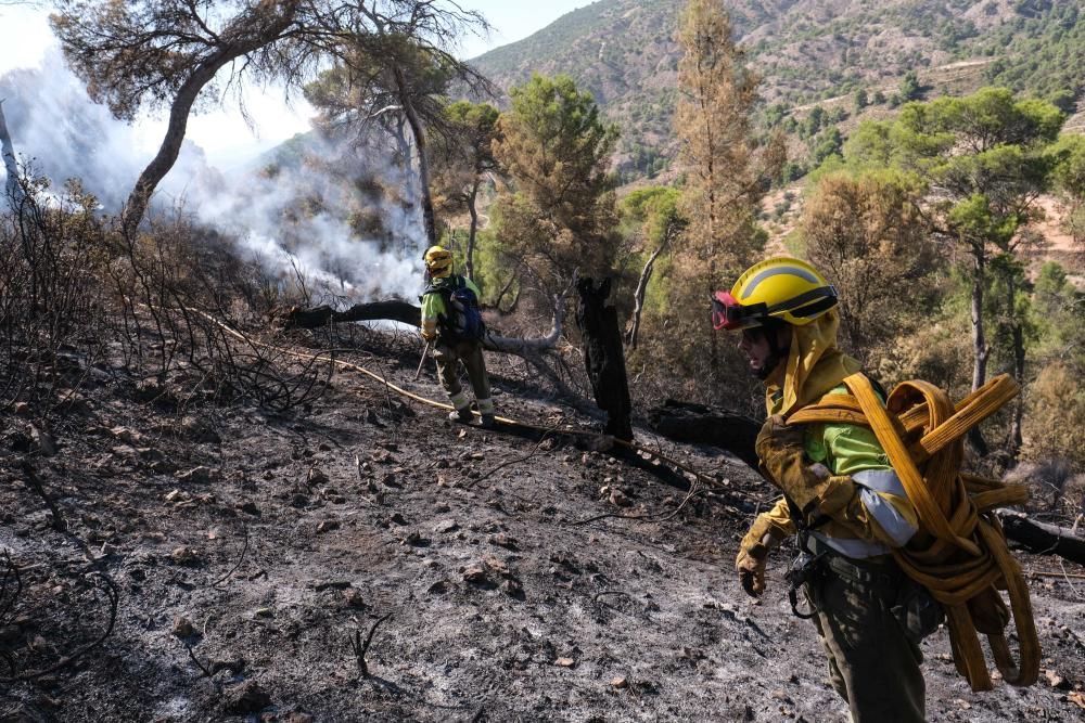 El fuego se inició a última hora de ayer miércoles y ha estado activo toda la noche.