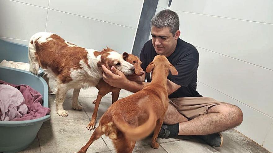 Javier Luna, de Galgos del Sur, junto a varios perros.