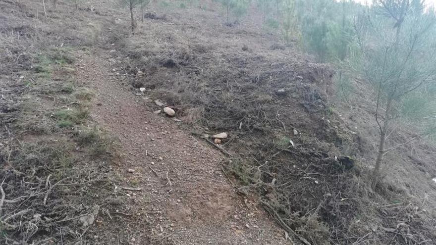 Así ha quedado una zona del monte de O Rosal.