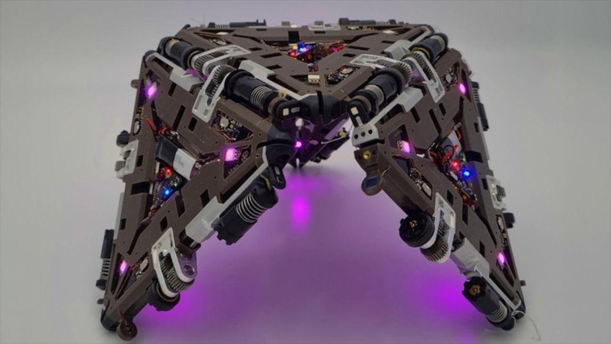 un robot modular se vuelve más resiliente al compartir recursos y energía