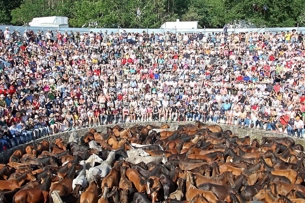 El primer curro de la Rapa das Bestas de Sabucedo // Bernabé / J. Carlos Asorey