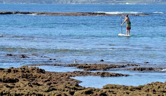 MAREA BAJA LAS CANTERAS