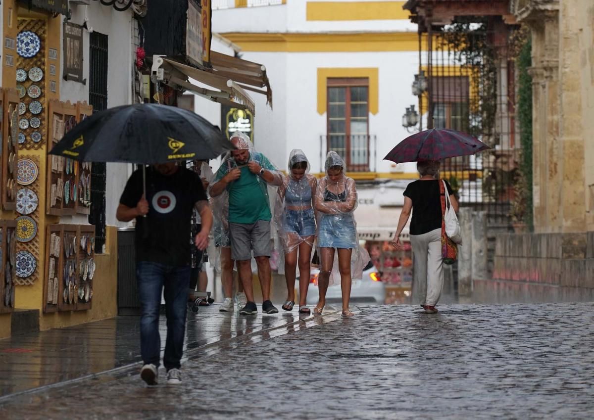 Llegan las primeras lluvias a Córdoba tras 123 días sin llover.