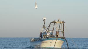 Anul·lats els acords de pesca i agricultura entre el Marroc i la UE