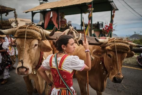 Romería de La Orotava 2019