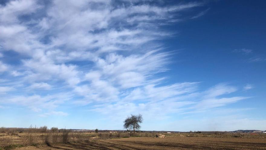 El tiempo en Zamora: previsión meteorológica para este martes 8 de febrero.