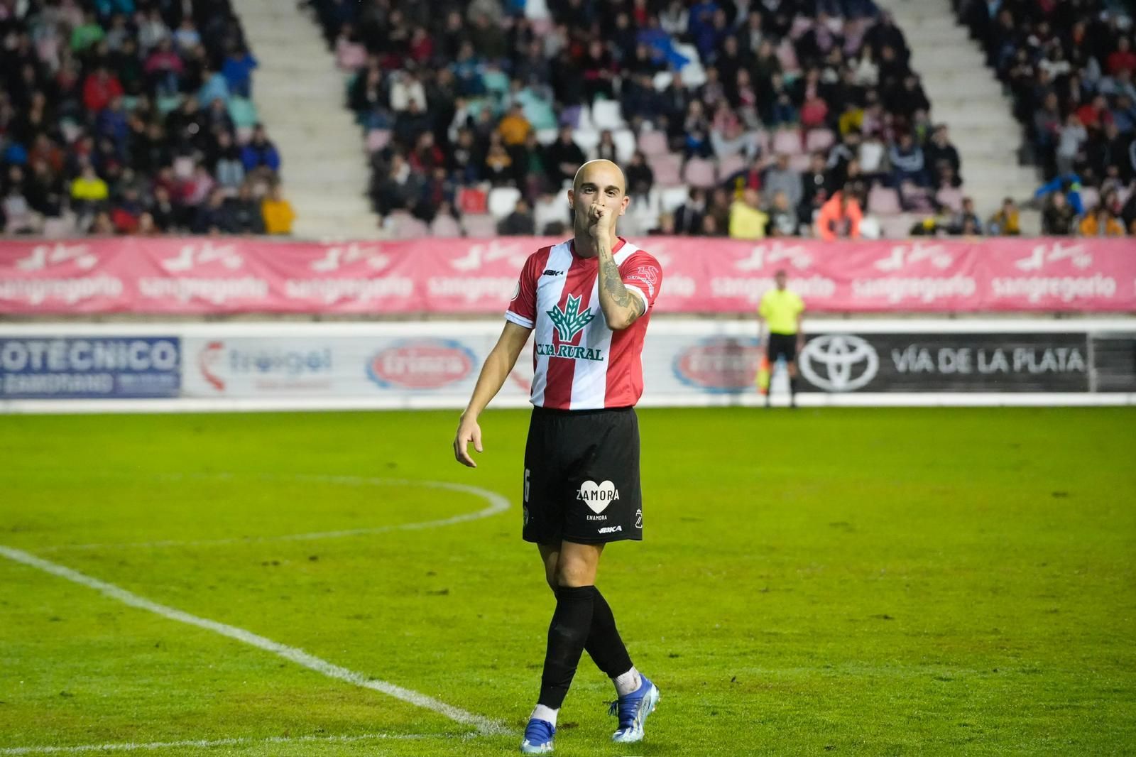 Zamora CF - Real Avilés