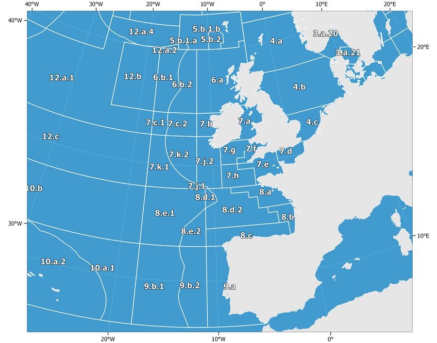 El mapa con las zonas ICES, en las que se dividen las zonas de pesca.