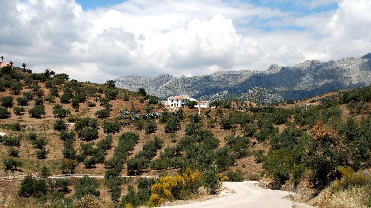 Están escondidos en un precioso pueblo de la sierra de Málaga
