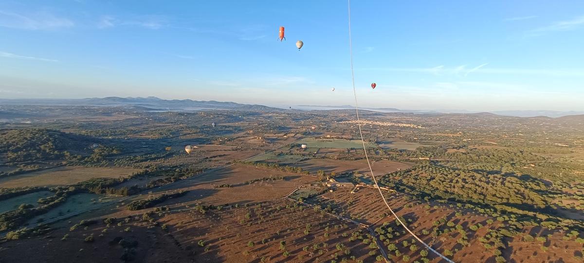 Vista aérea de parcelas rústicas en la zona del Llevant de Mallorca.