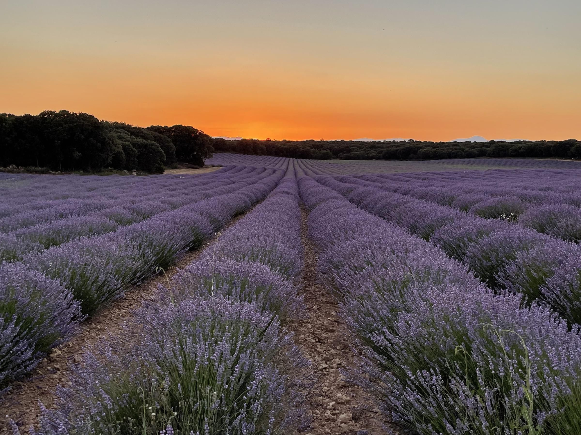 La ruta de Castilla-La Mancha que convierte la historia en eterna