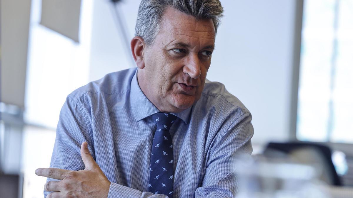 El conseller de Medio Ambiente, Vicente Martínez Mus.