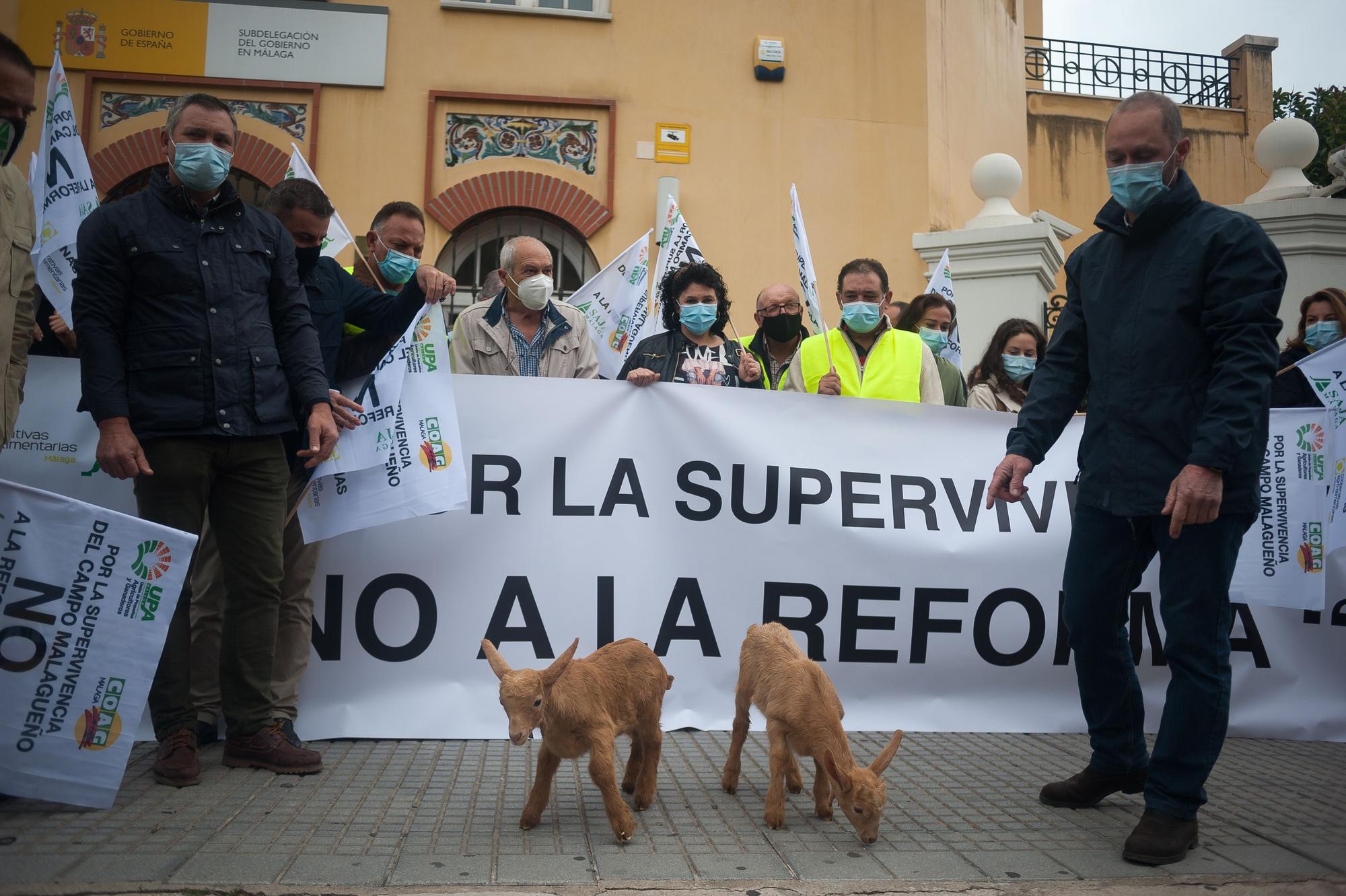 Los agricultores malagueños protestan contra la reforma del PAC