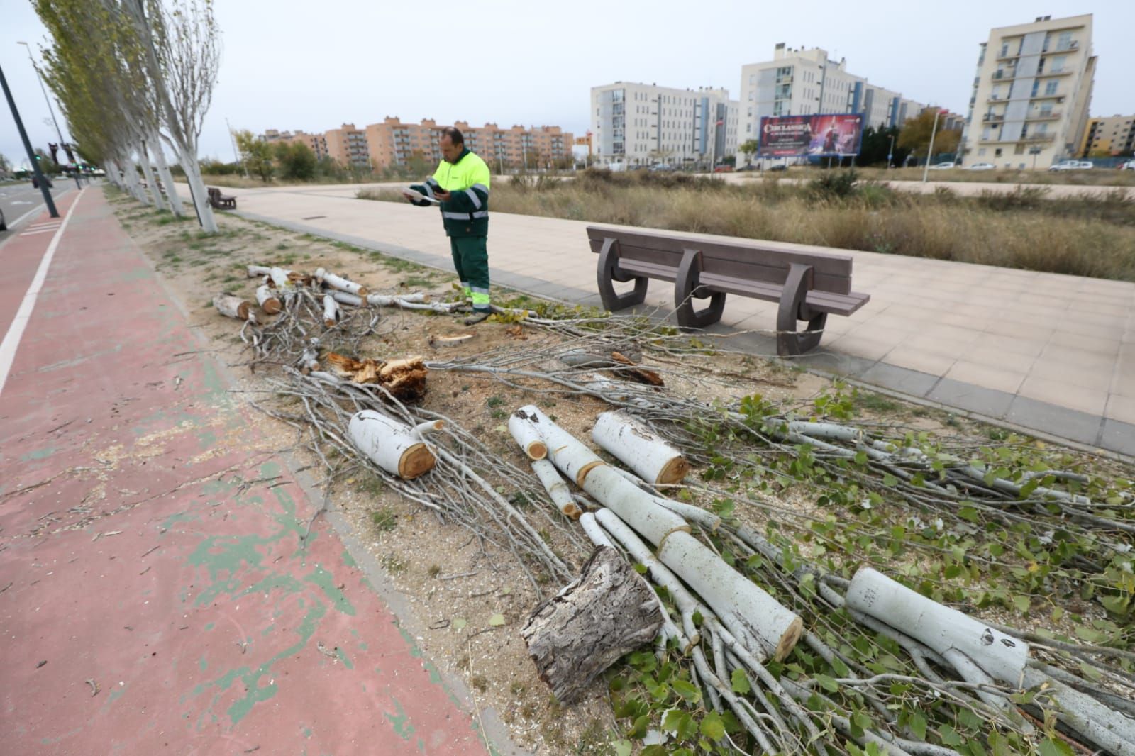Retirada de árboles caídos tras la fuerte tormenta caída el lunes en Zaragoza