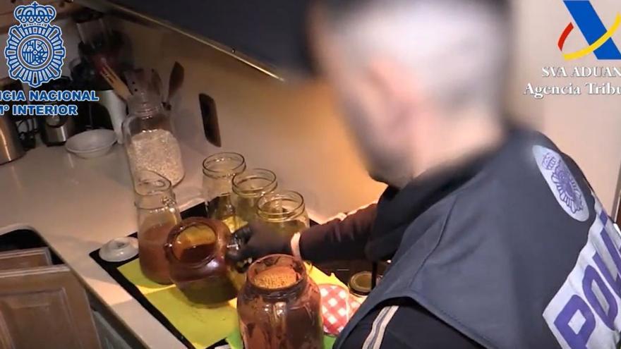 Un agente muestra ayahuasca
en una operación policial en
Barcelona de la que se informó
en abril de este año. | // PAOLO AGUILAR