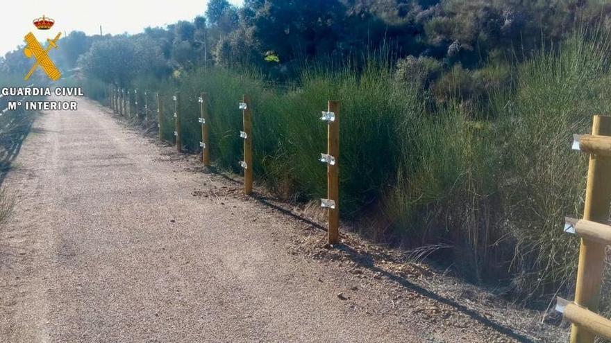 Investigado un vecino de Logrosán por el robo de 42 postes de la Vía Verde para construirse un picadero