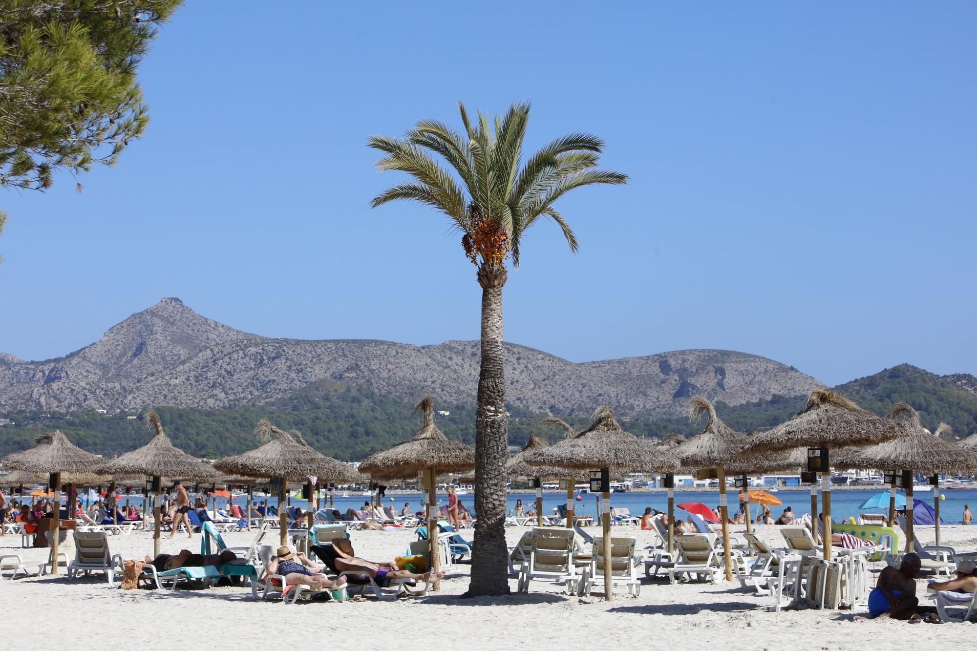 Sommer-Urlaub im Oktober: So sieht es derzeit am Strand von Alcúdia auf Mallorca aus